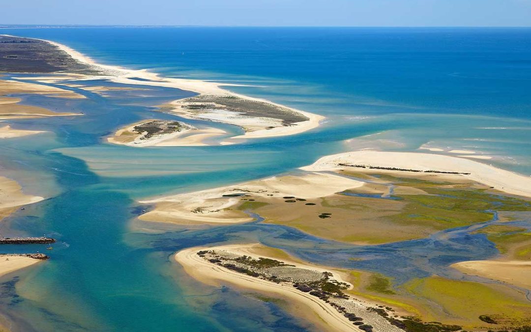 Discover the Magic of Ria Formosa: A Natural Paradise Waiting for You