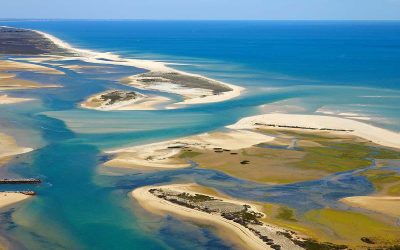 Discover the Magic of Ria Formosa: A Natural Paradise Waiting for You